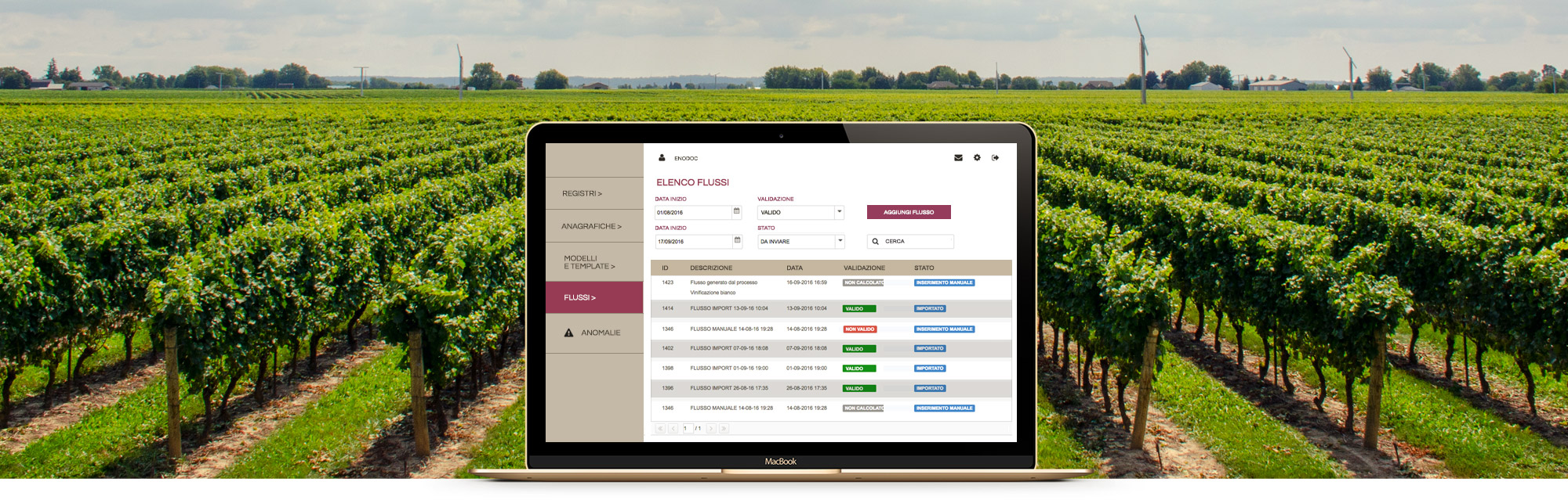 Dematerializzazione registri vitivinicoli: prova il software ENODOC
