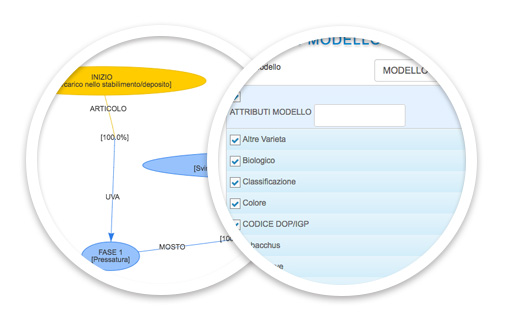 Dematerializzazione registri vitivinicoli: modelli e template proposti da ENODOC