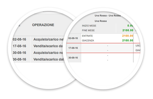 Dematerializzazione registri vitivinicoli: multivisualizzazione delle righe di registro